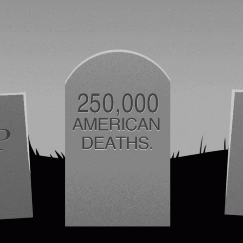 A Gravestone With The Words 250,000 American Deaths Written On It GIF