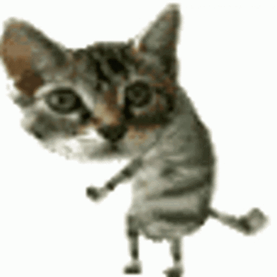 A Gray And Brown Cat Is Standing On Its Hind Legs And Looking At The Camera . GIF