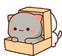 A Gray And White Cat Is Sitting In A Cardboard Box . Sticker