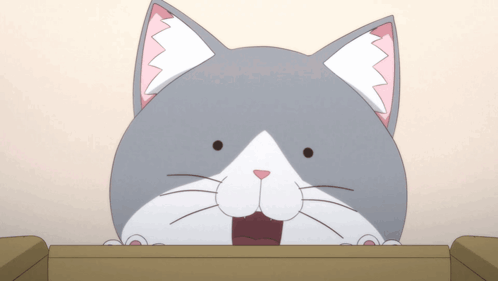 A Gray And White Cat With A Pink Ear Is Peeking Over A Box GIF