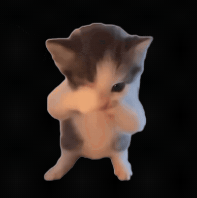 A Gray And White Kitten Is Standing On Its Hind Legs On A Black Background GIF