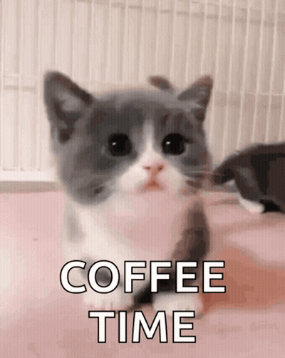 A Gray And White Kitten With The Words Coffee Time Written Above It GIF