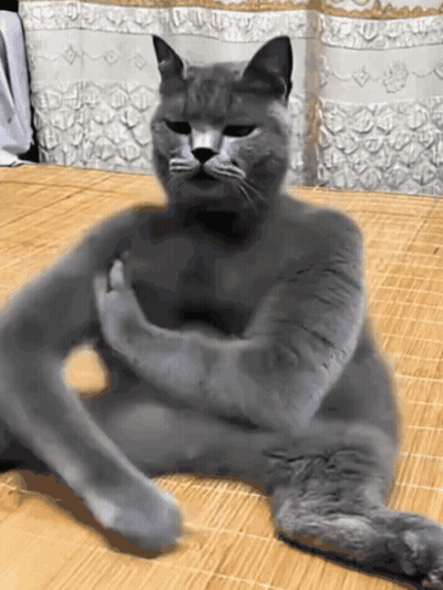 A Gray Cat Laying On A Mat With Its Arms Crossed GIF