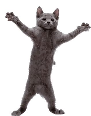 A Gray Cat Standing On Its Hind Legs With Its Paws Outstretched Sticker