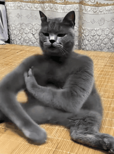 A Gray Cat With Its Arms Crossed Is Sitting On A Bamboo Mat GIF
