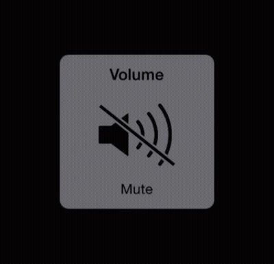 A Gray Volume Button With A Black Speaker On It GIF