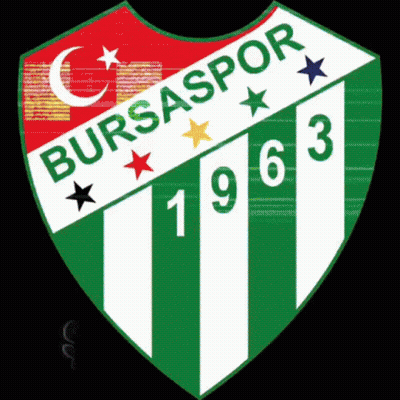 A Green And White Badge With The Year 1963 On It GIF