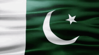A Green And White Flag With A Star And Crescent Moon GIF