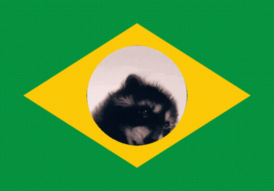 A Green And Yellow Flag With A Raccoon In The Center GIF