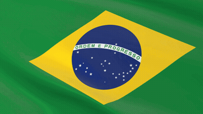 A Green And Yellow Flag With Ordem E Progresso Written On It GIF