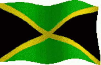 A Green And Yellow Jamaican Flag Is Waving In The Wind On A White Background GIF