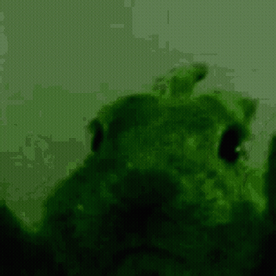 A Green Background With A Silhouette Of A Person In The Foreground GIF