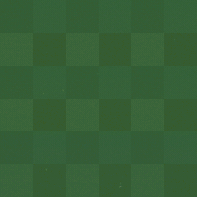 A Green Background With The Words Okay What Now Written In Pink GIF