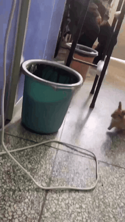 A Green Bucket Is Sitting On The Floor Next To A White Cord GIF