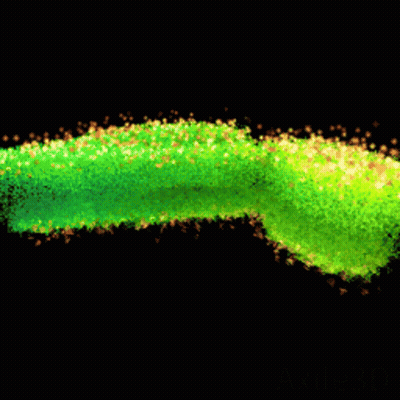 A Green Christmas Tree Is Surrounded By Yellow And Orange Stars GIF