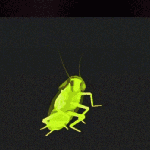 A Green Cockroach Is Glowing In The Dark GIF