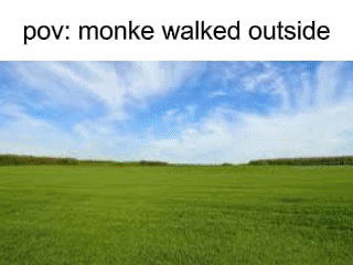 A Green Field With A Blue Sky And Clouds In The Background . GIF