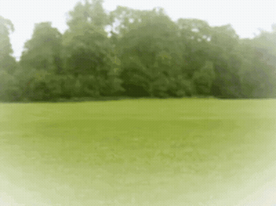 A Green Field With Trees In The Background And A White Border GIF