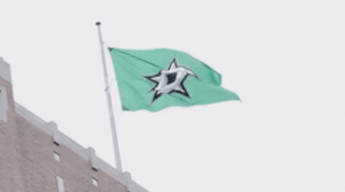 A Green Flag With A Seagull On It Is Waving In The Wind GIF