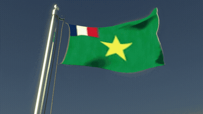 A Green Flag With A Yellow Star In The Middle GIF