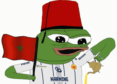 A Green Frog Wearing A Shirt That Says Karmine GIF