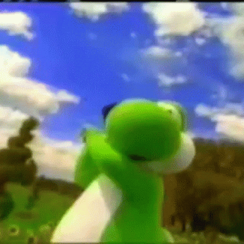 A Green Frog With A Blue Sky Behind It GIF