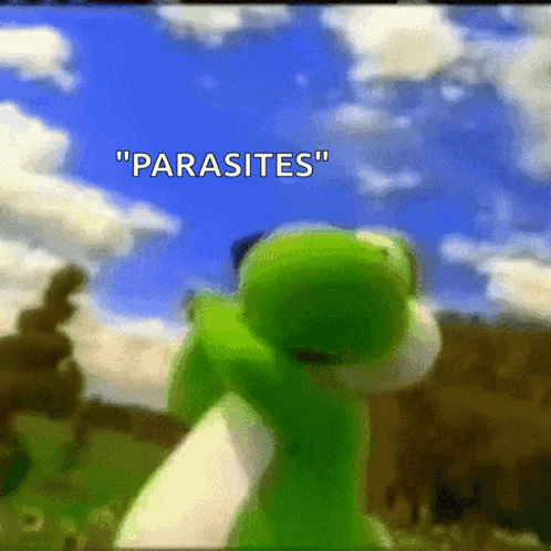 A Green Frog With The Words " Parasites " On It GIF