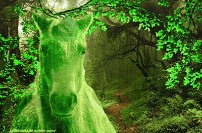 A Green Horse With A Leaf On Its Head Is In A Lush Green Forest GIF