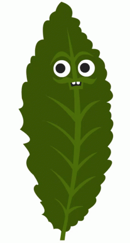 A Green Leaf With Eyes And Teeth On It GIF