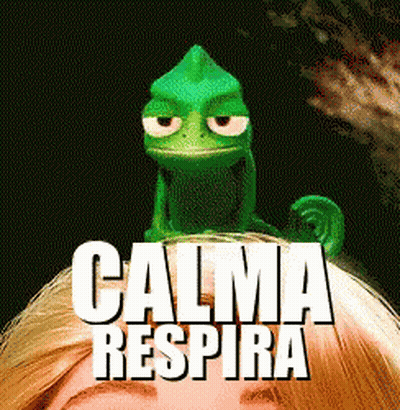 A Green Lizard Is Sitting On Top Of A Woman 'S Head With The Words Calma Respira Written Below It GIF