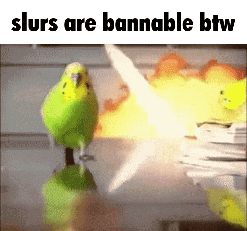 A Green Parakeet Is Standing In Front Of A Stack Of Papers With The Words Slurs Are Bannable Btw GIF