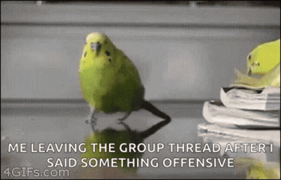 A Green Parrot Is Standing On A Table Next To A Pile Of Books . GIF