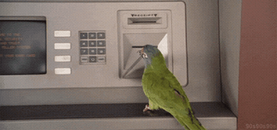 A Green Parrot Is Using An Atm Machine That Says Receipt On It GIF