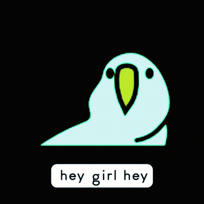 A Green Parrot Says " Hey Girl Hey " In A Black Background GIF