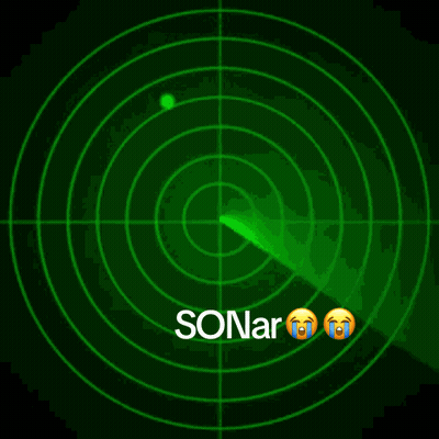 A Green Radar Screen Shows A Man 'S Face And The Word Sonar GIF