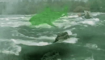 A Green Shark Is Swimming In A Body Of Water Next To A Rock . GIF