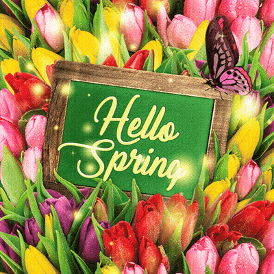 A Green Sign That Says Hello Spring Surrounded By Flowers GIF