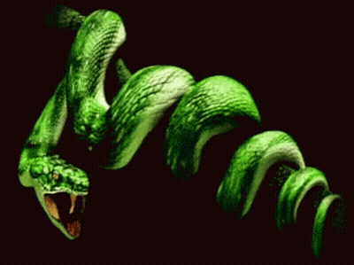 A Green Snake With Its Mouth Open And Sharp Teeth GIF