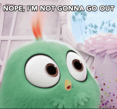 A Green Stuffed Animal With The Words Nope I 'M Not Gonna Go Out GIF