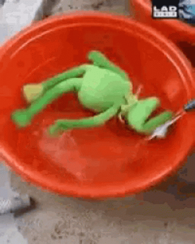 A Green Stuffed Frog Is Laying In A Bowl Of Water . GIF