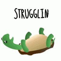 A Green Turtle Is Laying On A Piece Of Bread With The Word Strugglein Written Above It . GIF