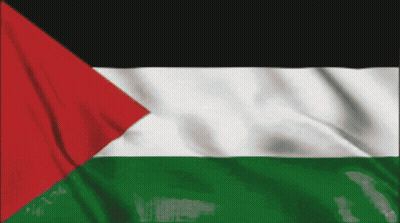 A Green White And Black Flag With A Red Triangle GIF