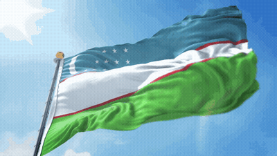 A Green White And Blue Flag With White Stars On It GIF