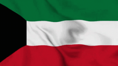 A Green White And Red Flag With A Black Border GIF