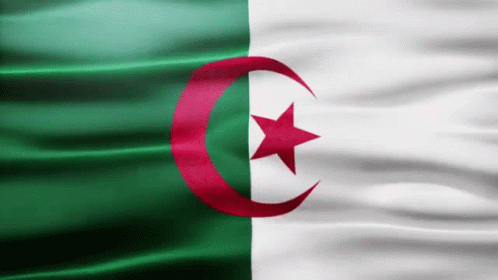 A Green White And Red Flag With A Red Star GIF