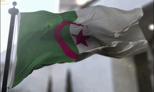 A Green White And Red Flag With A Red Star On It GIF