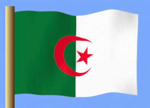A Green White And Red Flag With A Red Star On It GIF