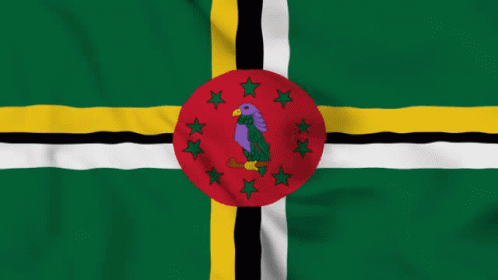 A Green Yellow And Black Flag With A Purple Bird In The Center GIF
