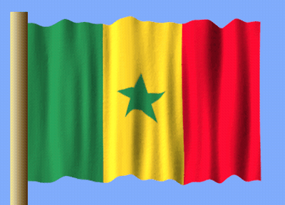 A Green Yellow And Red Flag With A Star In The Middle GIF