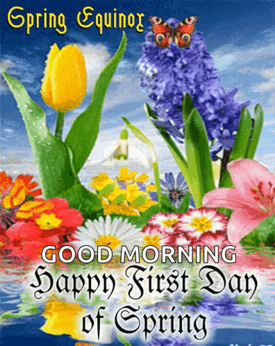 A Greeting Card For Spring Equinox With Flowers And A Butterfly GIF